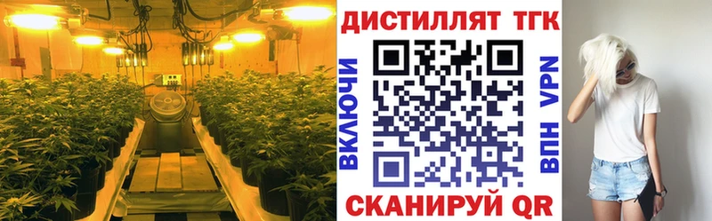 Дистиллят ТГК вейп с тгк  где найти   Ярославль 