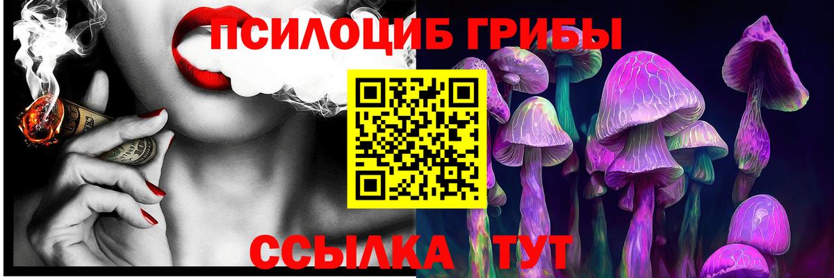 Псилоцибиновые грибы прущие грибы Ярославль